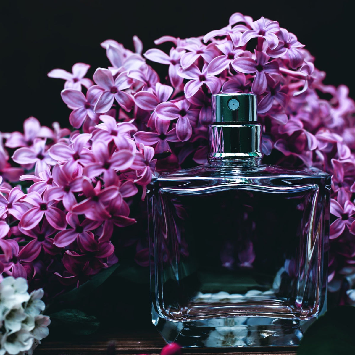 Traveling Vardo | Purveyor of Fine Artisan Perfumes