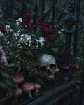 THE HONORED DEAD ~ Limited Edition Autumn Seasonal Release -  Tuberose Jasmine Lily of the Valley White Amber