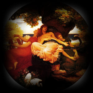 HESPERIDES PERFUME OIL ~ Honeysuckle Sweetpea Apple Vanilla Sandalwood Champa Cedar Golden Musk
