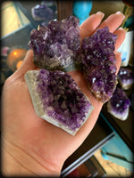 AMETHYST CRYSTAL CLUSTER ~ For Clarity, Dream Work, and Spiritual Development