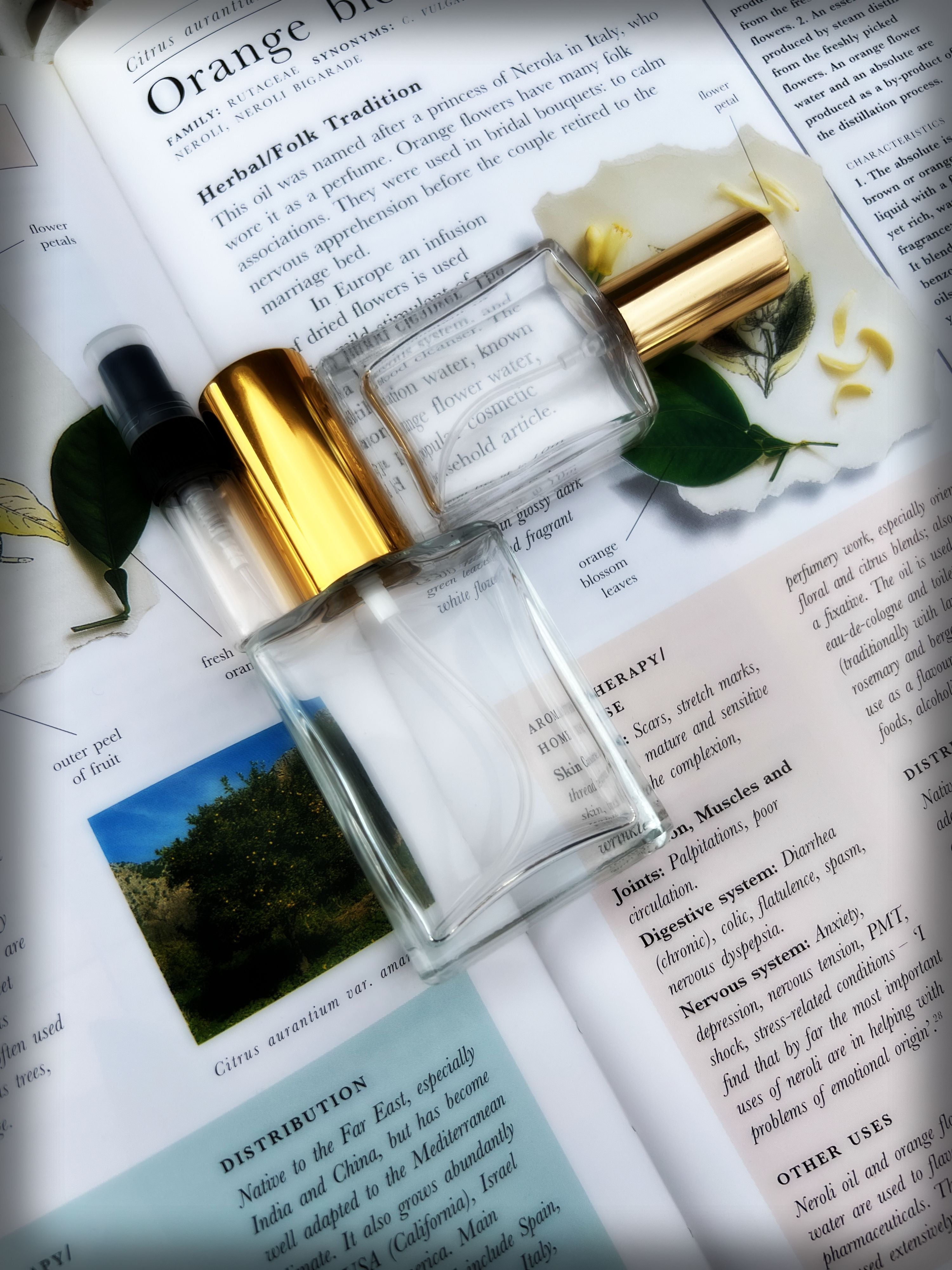 STYGIAN MUSK Eau de Parfum ~ Precious Woods Marsh Reeds Black Musk