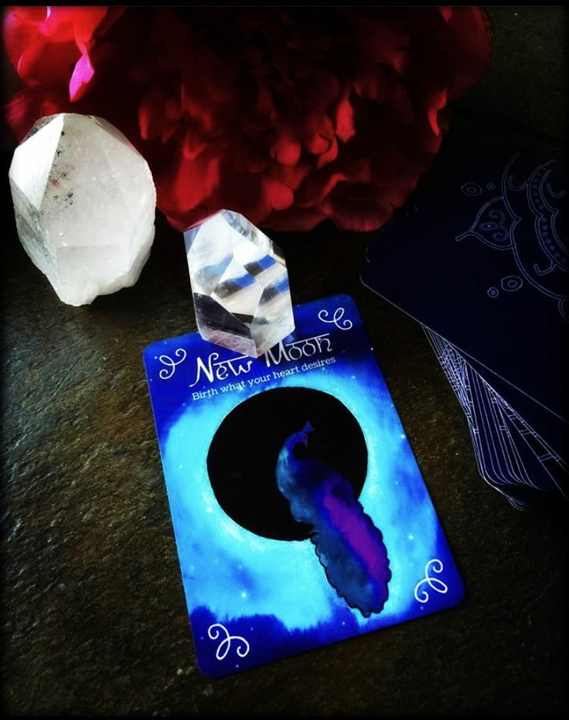 TAROT & ORACLE READING ~ What the What?!