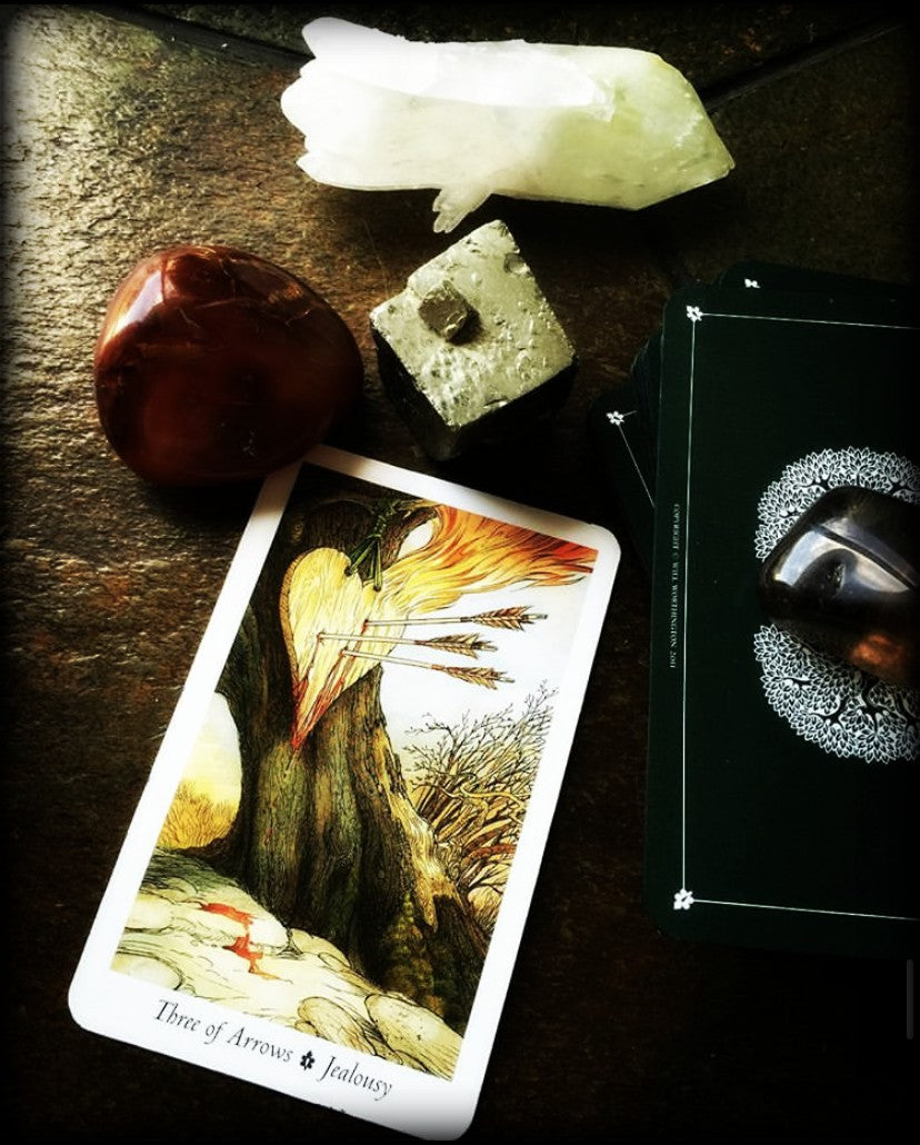 TAROT & ORACLE READING ~ What the What?!