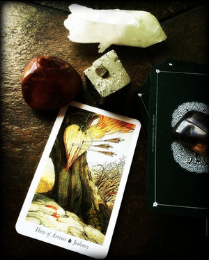 TAROT & ORACLE READING ~ What the What?!