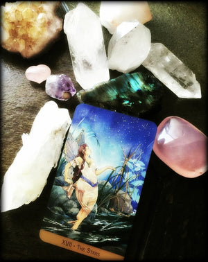 TAROT & ORACLE READING ~ What the What?!