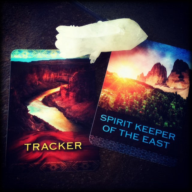 TAROT & ORACLE READING ~ Just a Glimpse ~ Through the Looking Glass